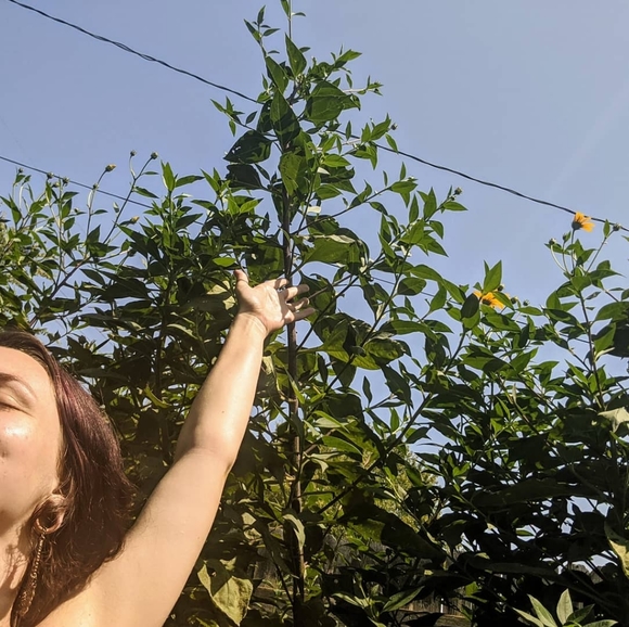 Meet your Posher, Morgen - Picture 3 of 5